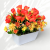 IMG_6264d.png