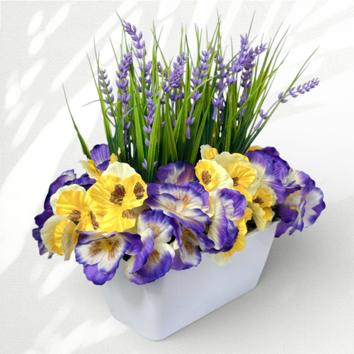 IMG_6251.png
