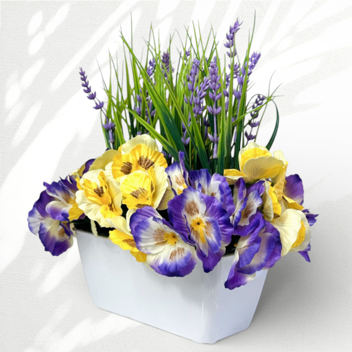 IMG_6246.png