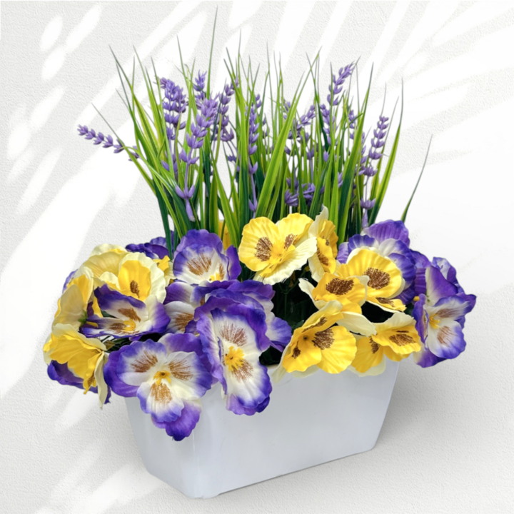 IMG_6248.png