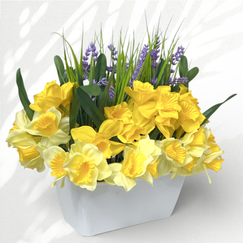 IMG_6240_d.png