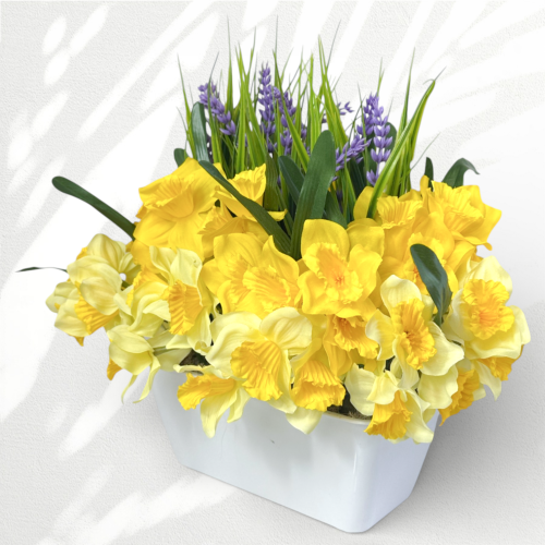 IMG_6232_d.png