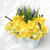 IMG_6232_d.png
