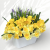 IMG_6234_d.png