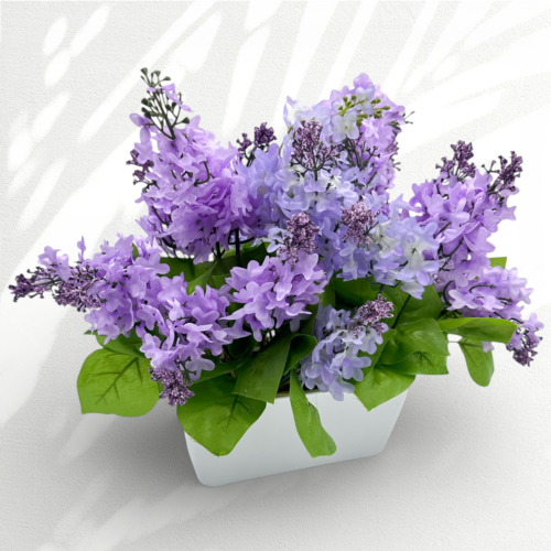 IMG_6942d.png