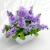 IMG_6936d.png
