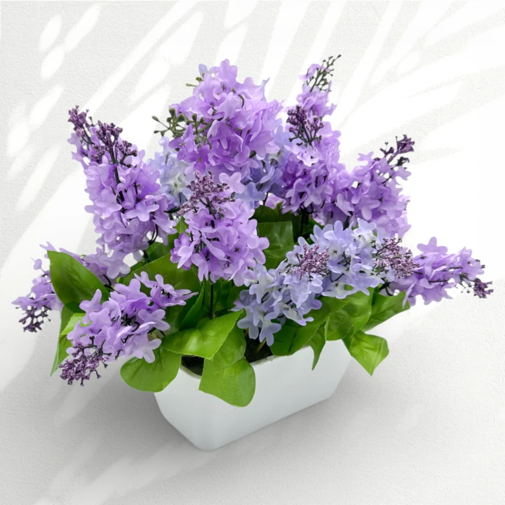 IMG_6936d.png