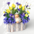 IMG_6626d.png
