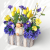 IMG_6637d.png