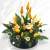 IMG_7932.png