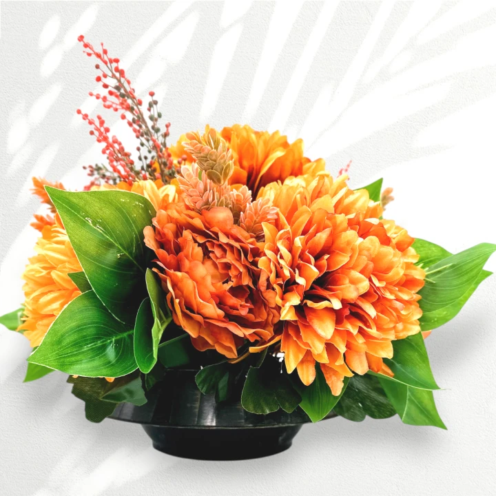 C3E7F1BA-03F3-480C-A9B5-D32C972132EB.png