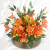 IMG_2003d.png