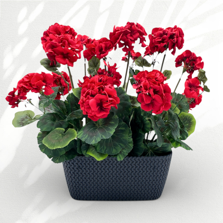 IMG_7273d.png