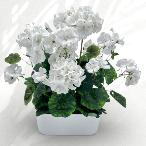 IMG_7249d.png