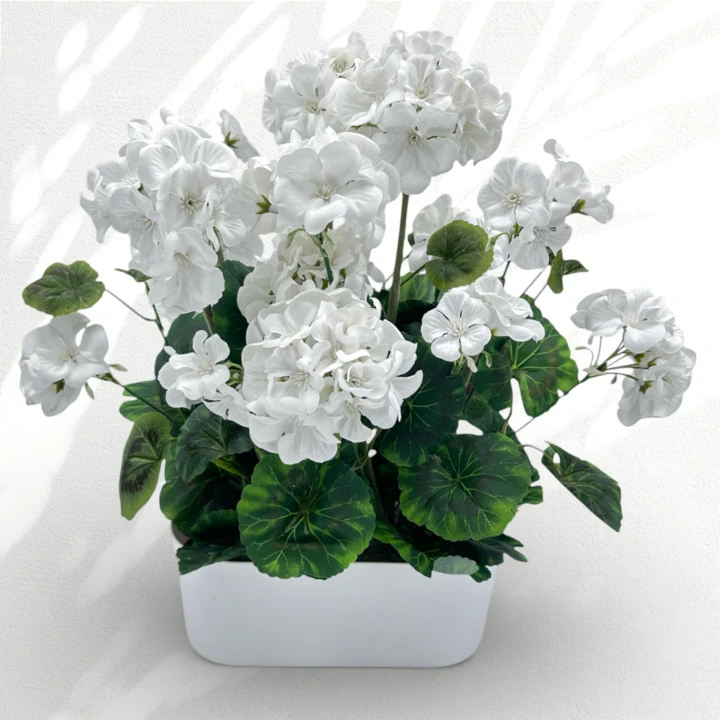 IMG_7249d.png