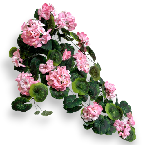 IMG_8119(1).png