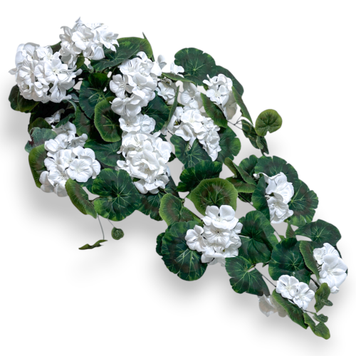 IMG_8106a.png