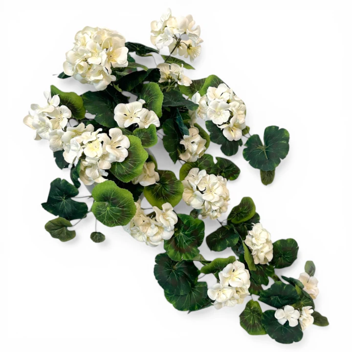 IMG_8028(1).png