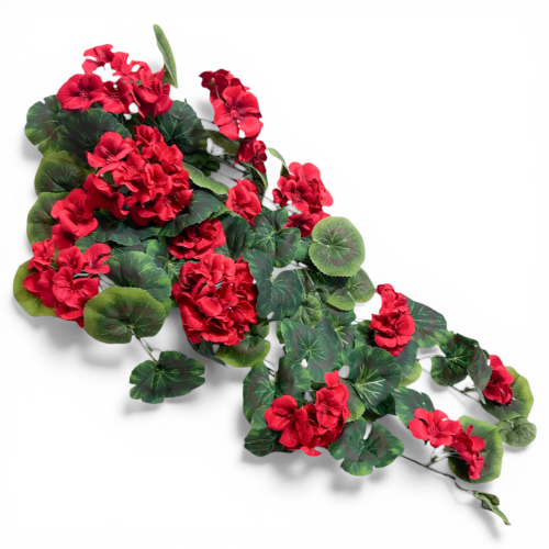 IMG_8137.png