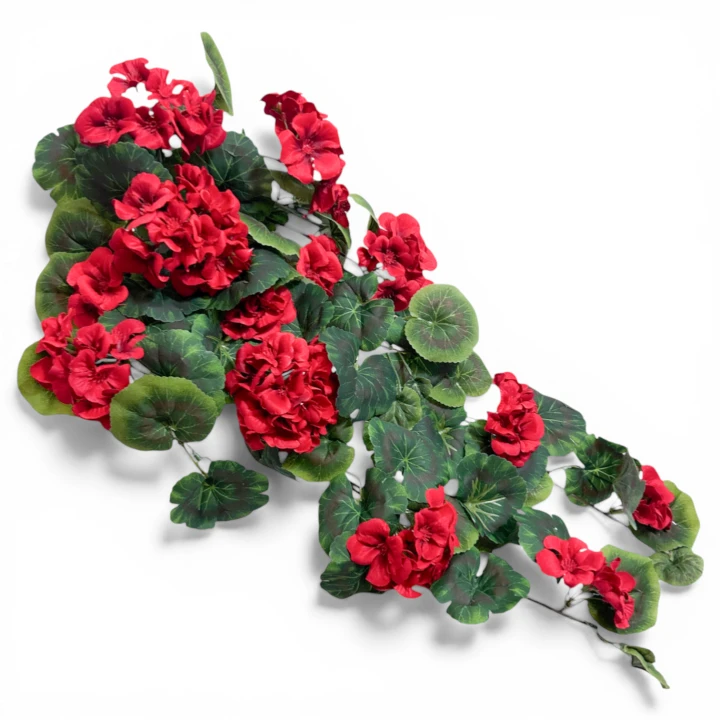 IMG_8137.png