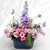 IMG_7153d.png